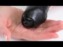 youtube - [Video]