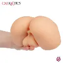 2.webp