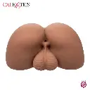 4.webp