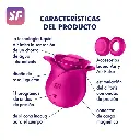 2.webp