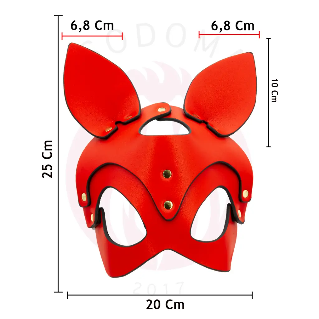 5.webp
