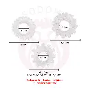 9.webp