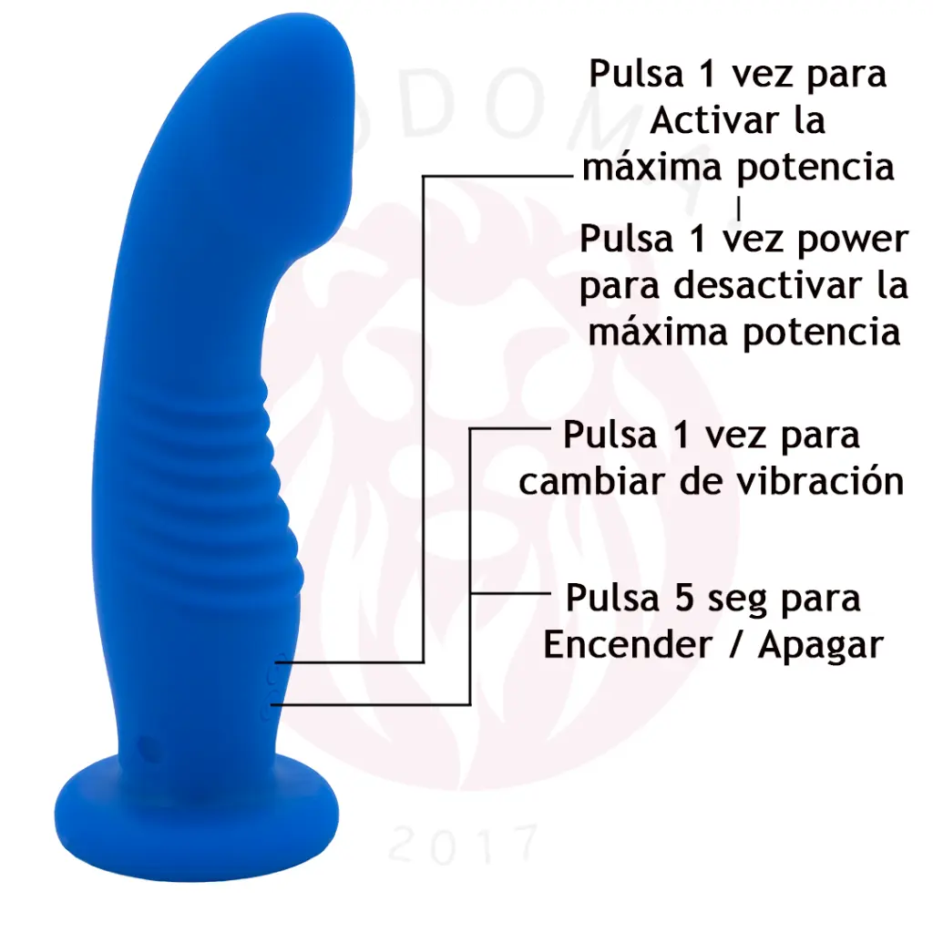 8.webp