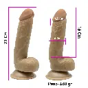 665e52_e192907be6d347feafd501088eec5731~mv2.webp