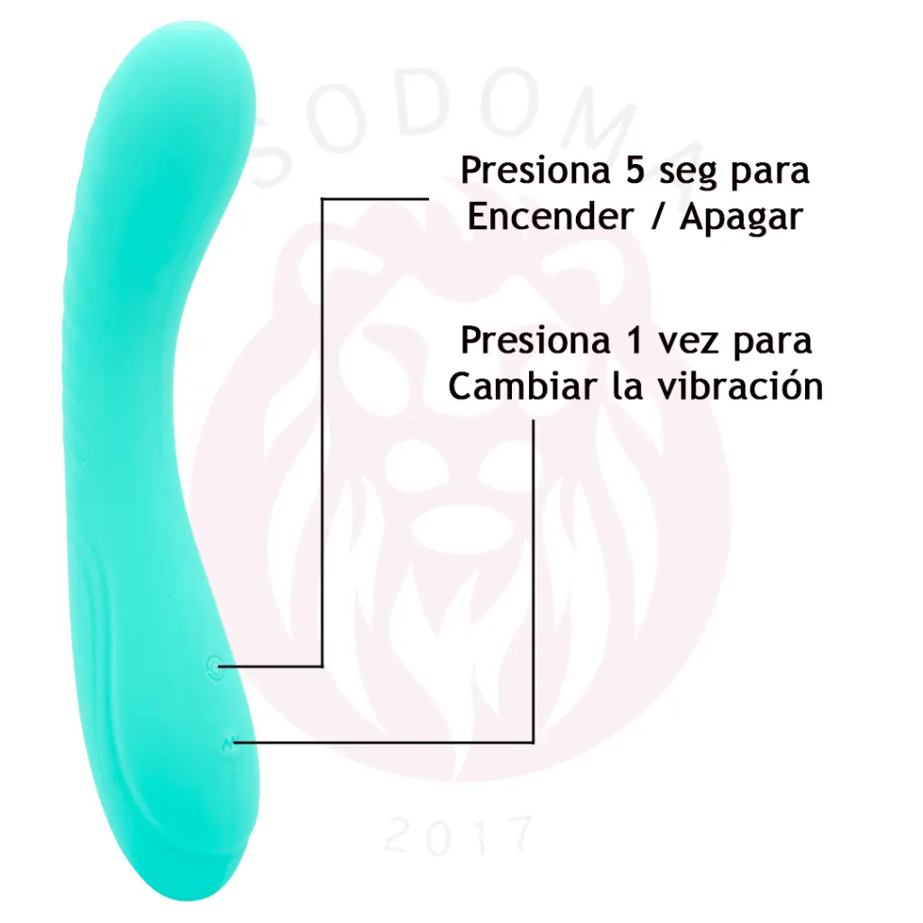 7.webp