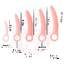 6.webp