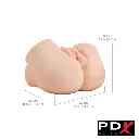 11.webp