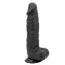 Consolador Dildo Soporte De Succion QSB065 Realista De 25 Cm - Negro