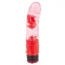 Vibrador Consolador Jelly Multivelocidad Aron 18 Cm - Rojo