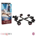 Calexotics Scandal Esposas para Cama